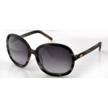 COACH Sunglasses