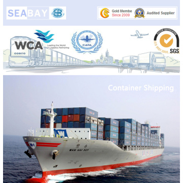 Professional LCL/FCL Ocean Shipping Service to Romania From China