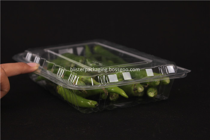 plastic container fruit tray