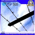 PVC Coated Barbed Wire for Security Fence with SGS