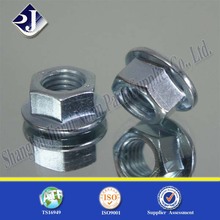 Hex Flange Nut with Blue