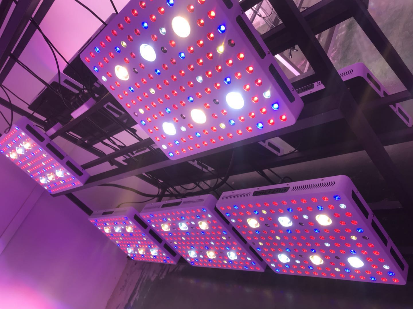 Indoor Full Spectrum Square LED Grow Lights