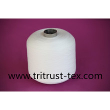 100% Polyester Sewing Yarn (2/30s)