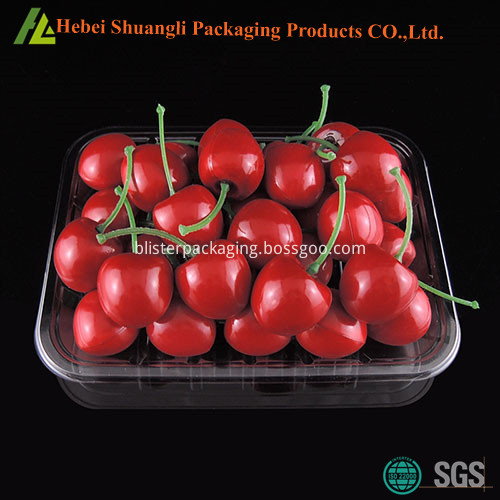 plastic fruit packaging 