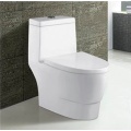 Ceramic Bathroom Wc Bowl Washdown Flushing Closet Floor Mount Toilet