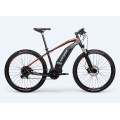 Angepasstes Off Road Electric Bike