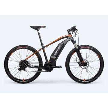 Angepasstes Off Road Electric Bike