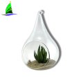 Glass Hanging Planter Hanging Air Plant Terrarium Decorative