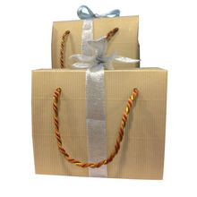 Printed Color Paper Shopping Gift Bag with Ribbon