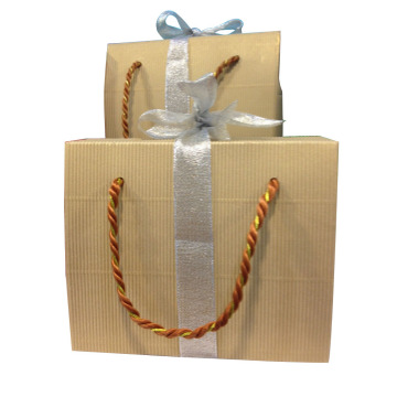 Printed Color Paper Shopping Gift Bag with Ribbon