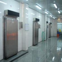 Cold Storage and High Quality Cold Room