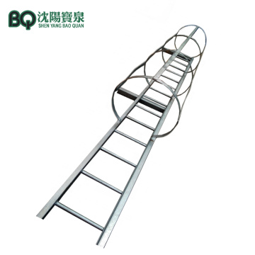 Mast Section Ladder for Tower Crane
