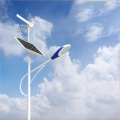 Großhandel 30W Wind Solar Hybrid LED Straßenlaterne