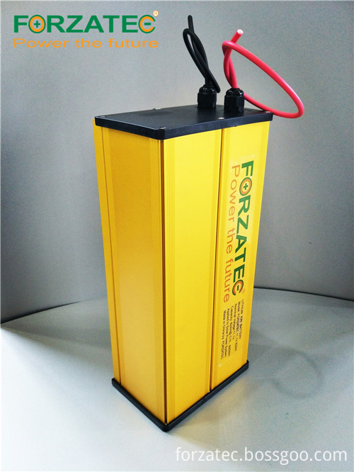 12V60Ah lithium iron phosphate 