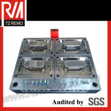 Plastic Thin Wall Injection Mould