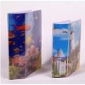 Promotional Decoration Photo Album with 3D Effect