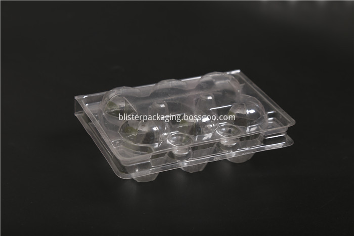 Plastic Quail Egg Box