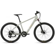 Lithium Battery Assisted City Bike for City Riding