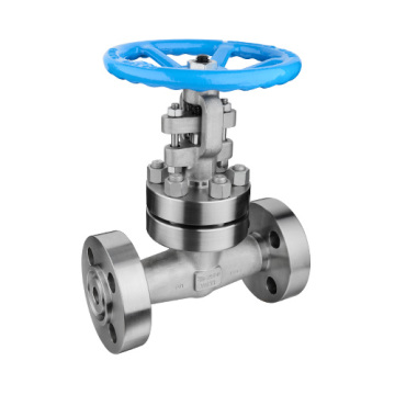 API 2500lb Forged Stainless Steel Gate Valve with Satellite