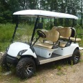 carrito de golf eléctrico con neumático todoterreno