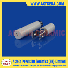 Precision Ceramic Plunger for Metering Pump