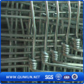 Welded Mesh Form China Market