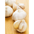 5.5 cm Factory Pure White Fresh Garlic