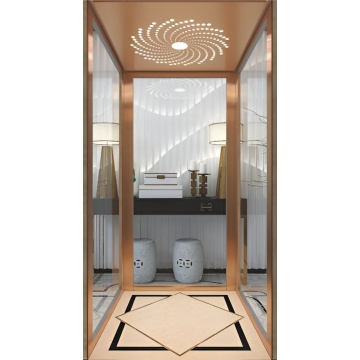 Sightseeing Elevator for Home Lifts