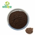 Sofortiger Puer -Tee -Extraktpulver