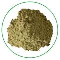 Free sample healthy high quality buckwheat grass powder