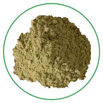 Free sample healthy high quality buckwheat grass powder