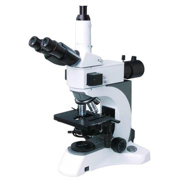 Bestscope BS-2080f (LED) Kohler Iluminación Fluorescente Microscopio Biológico