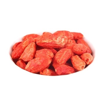 Lotes de Goji liofilizadas Lycium Barbarum Medlar