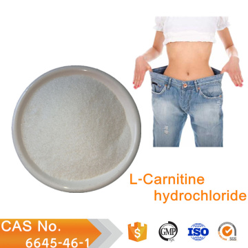 supplément de perte de poids poudre d&#39;acide aminé l-carnitine