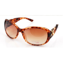 KASHA Sunglasses