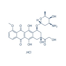 Paclitaxel 33069-62-4