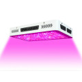 Double Chips LED Grow Lights für Herb