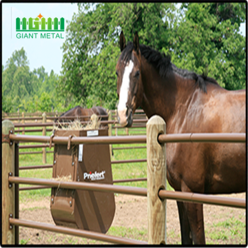 Galvanized+Round+tube+Horse+Fence+Panels