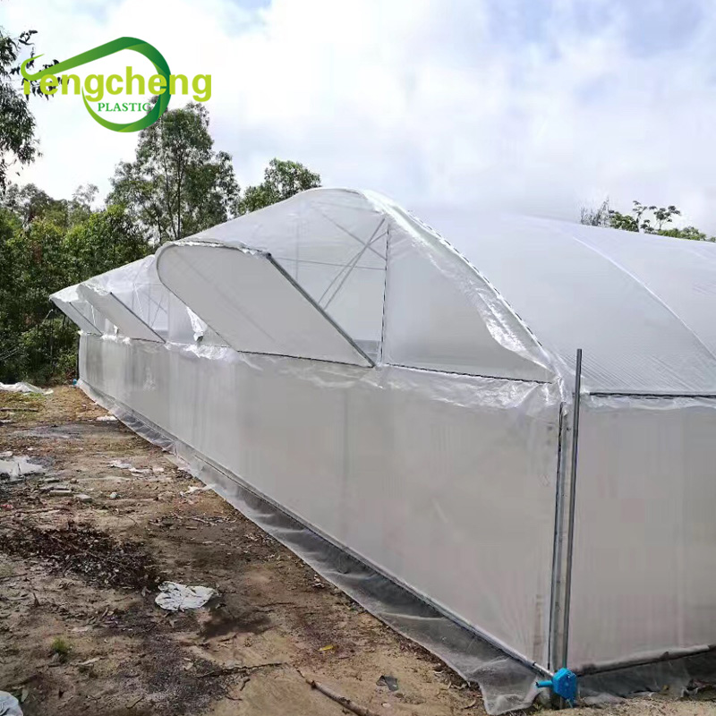 Woven Greenhouse Film 