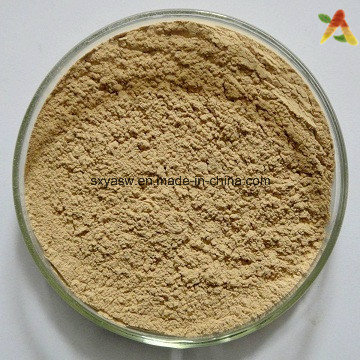 Natural Plant Extract Chlorogenic Acids