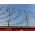 High Quality Double Twisted Barbed Wire