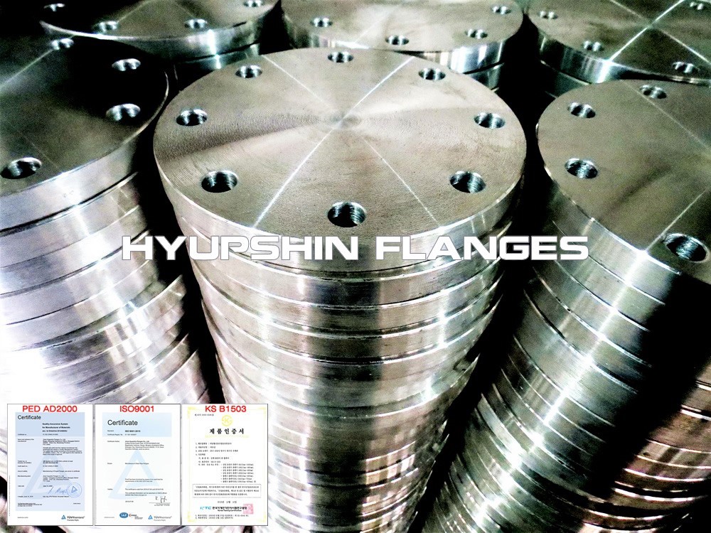 Hyupshin Flanges Blind En1092 1