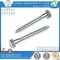 Steel Hex Lag Screw Per DIN571