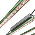 730W 1000W LED tira de crescimento