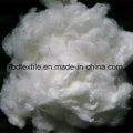 Free Sample! ! Polyester Fiber/ Polyester Fiber/Polyester Staple Fiber