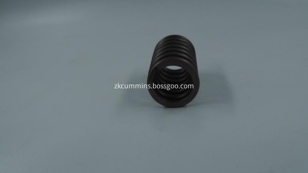 Parts Valve Spring 205208