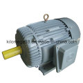 Y Series 3-Phase Electric Motors for Industry with Ce