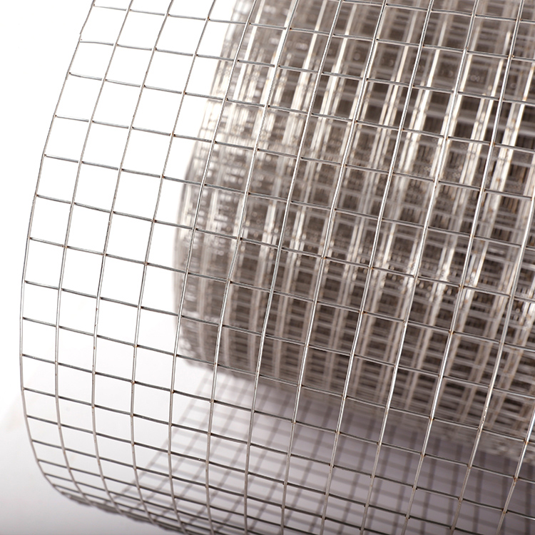 SS welded wire mesh