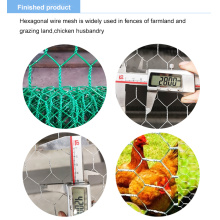 Netización de alambre hexagonal con caja de gabión recubierta de galvanizado/PVC