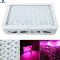 Full Spectrum Hydroponics LED élève la lumière pour une serre